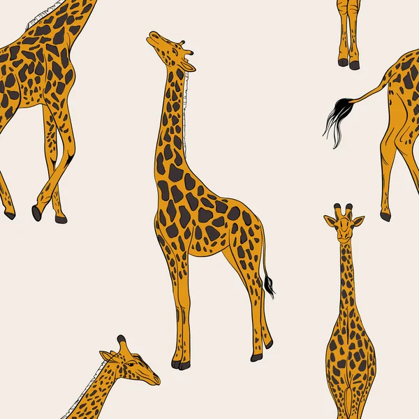 Padrão Girafa Sem Costura Impressão Berçário Animais Africanos Papel Embrulho —  Vetores de Stock