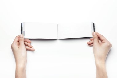 bir broşür holding