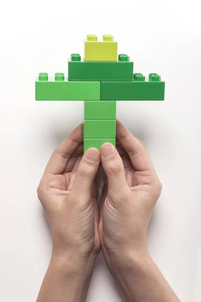 Ținând un bloc verde (copac ) — Fotografie, imagine de stoc