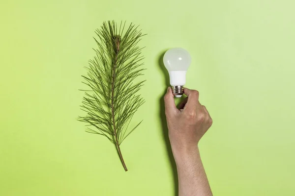 Holding a light bulb by hand with leaf. eco concepts. green background, isolated