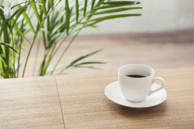 gün ışığından yararlanma ahşap masa üzerinde bitkiler ile kahve fincanı.