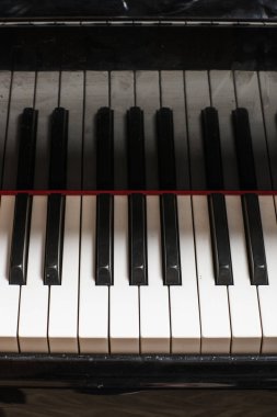 lüks ruh kuyruklu piyano