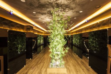 Masaj bir masaj odası (vibratör, yoğurucu, Masaj, Masaj, Masaj, sb bir masajı, Masaj) aydınlatma, bambu, hotel, seoul, Güney Kore.