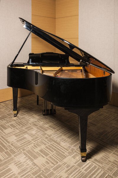 luxurious mood grand piano
