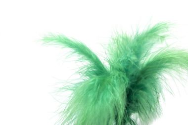 Beyaz arka plan üzerinde izole tüy ile tekme yetiştirmek için yeşil oyuncak.