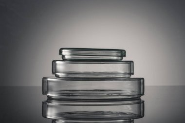 Laboratuvar Petri dish/plaka beyaz arka plan üzerinde izole