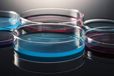 Laboratuvar Petri dish/plaka beyaz arka plan üzerinde izole