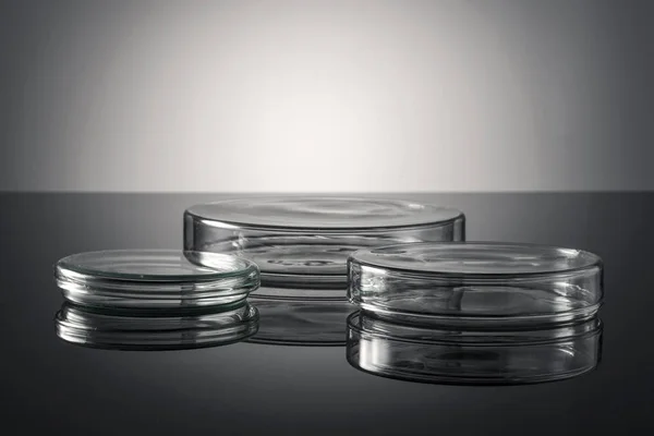 Laboratory Petri dish/plate isolated on white background