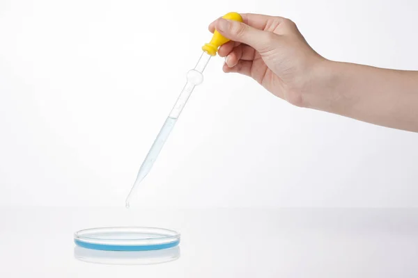 Ricerca Chimica Capsule Petri Fondo Bianco Isolato Preparazione Piatti Laboratorio — Foto Stock