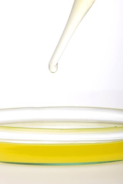 Chemical research in Petri dishes on isolated white background. Preparing plates in a microbiology laboratory. Inoculating plates. Vaccine ampoule. Top view. 