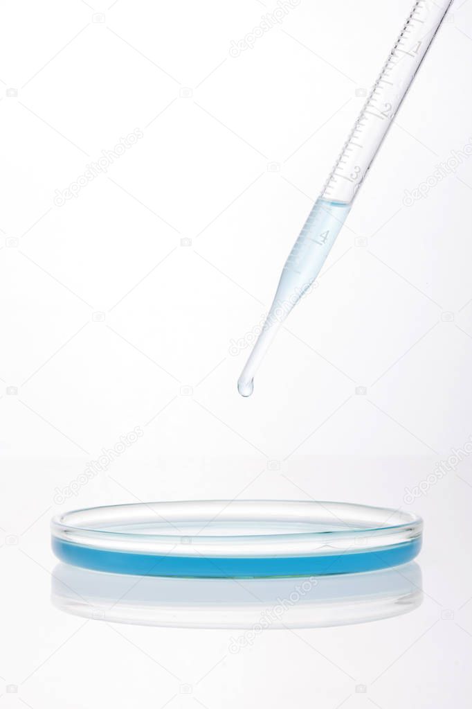Chemical research in Petri dishes on isolated white background. Preparing plates in a microbiology laboratory. Inoculating plates. Vaccine ampoule. Top view. 