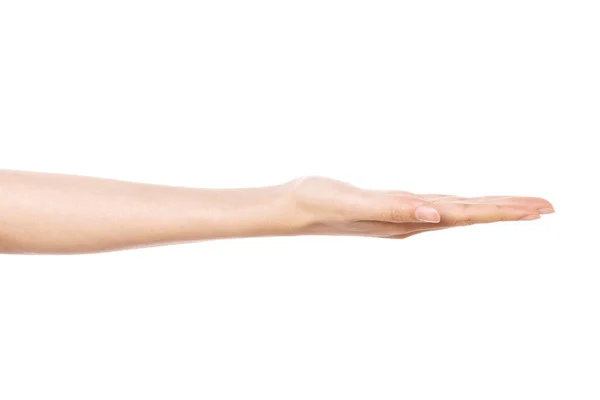 Vrouw Hand Gebaar Ontvangen Geïsoleerd Wit — Stockfoto