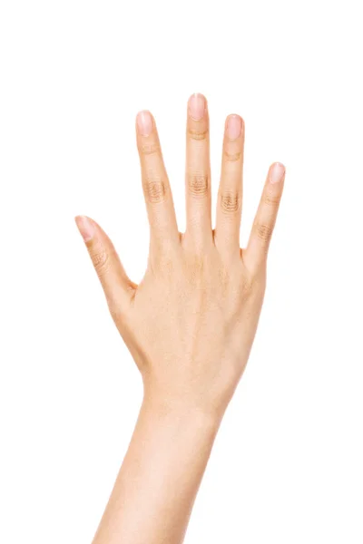 被白色隔离的女性手势 — 图库照片