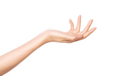 Kadın el hareketi (ver, al, paylaş) beyaz üzerine izole edilmiş.