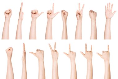 ayar, el hareketi grubu (sayı, yumruk, yön, vs.) beyaz üzerine izole