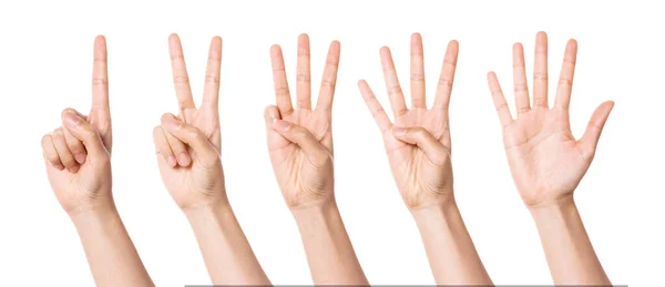 Zestaw Grupa Gestów Dłoni Liczba Wyizolowanych Białym — Zdjęcie stockowe