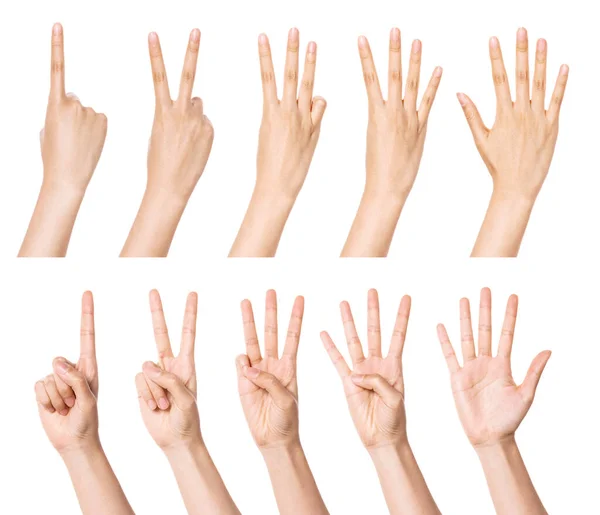 Zestaw Grupa Gestów Dłoni Liczba Pięść Kierunek Itp Odizolowanych Biało — Zdjęcie stockowe