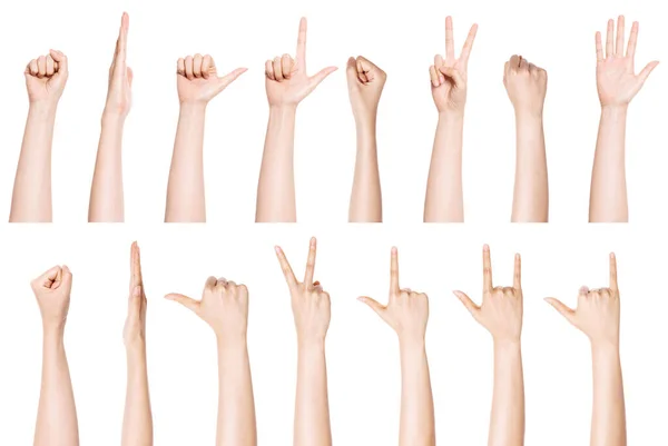 Set Group Hand Gesture Number Fist Direction Etc Isolated White — Stock Photo, Image