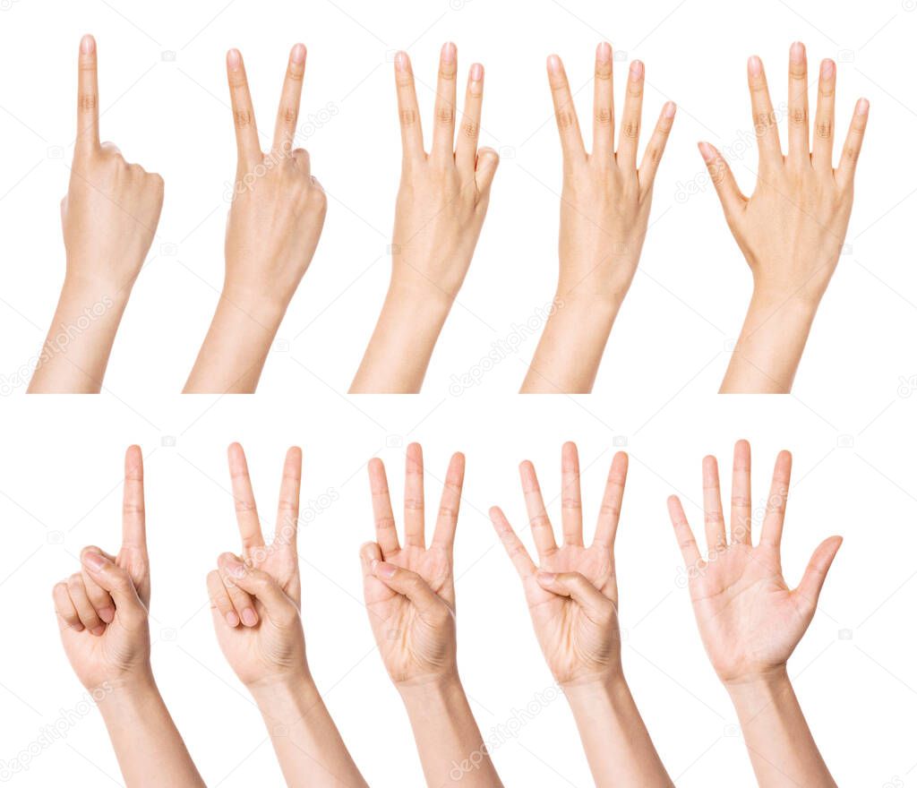 set, group of hand gesture(number, fist, direction, etc) isolated on white