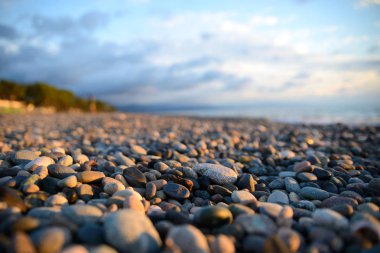 Sunset bulvarında çakıl plajı 