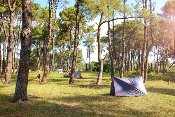 Man nära tält i parken under träd — Stockfoto