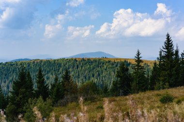 Karpat'ın yaz aylarında