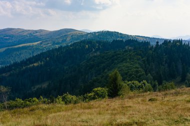 Karpat'ın yaz aylarında