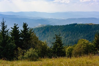 Karpat'ın yaz aylarında