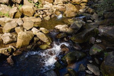 Karpatlar 'daki dağ nehri