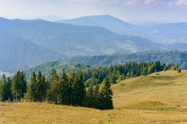 Yazın Karpat Dağları