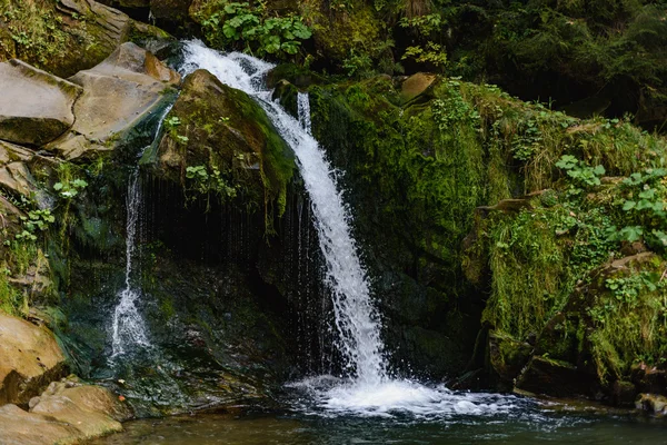 Kamenka watefall em Cárpatos Fotografia De Stock