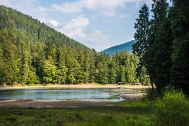 Synevyr Gölü yaz aylarında