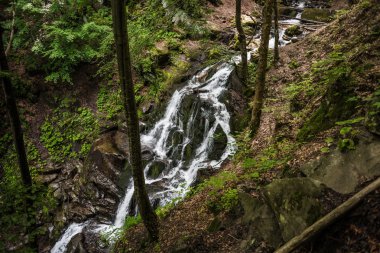 Shepit şelale Batı Ukrayna