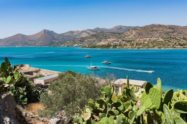 Kaktüsler üstüne Spinalonga. Mavi deniz ve ada ile dağ pitoresk görünümüne.