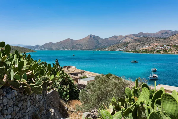 Des cactus sur Spinalonga. Vue pittoresque sur la mer bleue et l'île avec montagne . — Photo