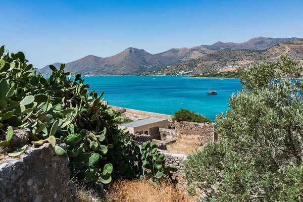 Kaktüsler üstüne Spinalonga. Mavi deniz ve ada ile dağ pitoresk görünümüne.