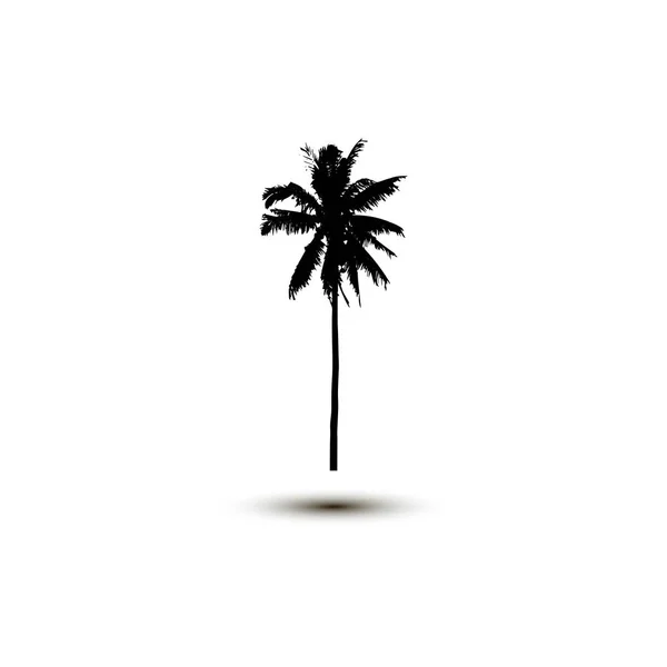 현실적인 Silhouettetropical 코코넛 야 자 나무, 검은 실루엣과 흰색 배경에 개요 윤곽 벡터 — 스톡 벡터