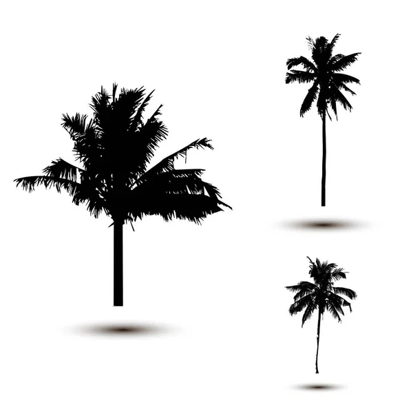 Realistische Silhouette einer tropischen Kokospalme, schwarze Silhouetten und Umrisse auf weißem Hintergrund. Vektor — Stockvektor