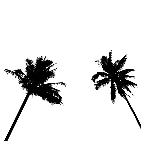 Realistische Silhouette einer tropischen Kokospalme, schwarze Silhouetten und Umrisse auf weißem Hintergrund. Vektor — Stockvektor