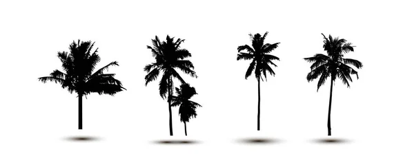 Silueta realistaPalmera de coco tropical, siluetas negras y contornos de contorno sobre fondo blanco. Vector — Vector de stock