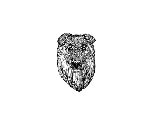 デッサンのコリーのイラスト、スコットランドの羊飼いの犬漫画鉛筆、木炭ペーパー アート ・黒いパステル ・ スケッチ ホワイト バック グラウンド — ストックベクタ