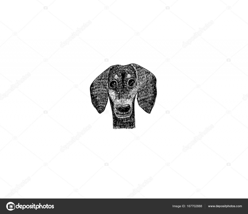 Dessin Dessin Crayon De Dessin Animé Chien Teckel Et Fusain