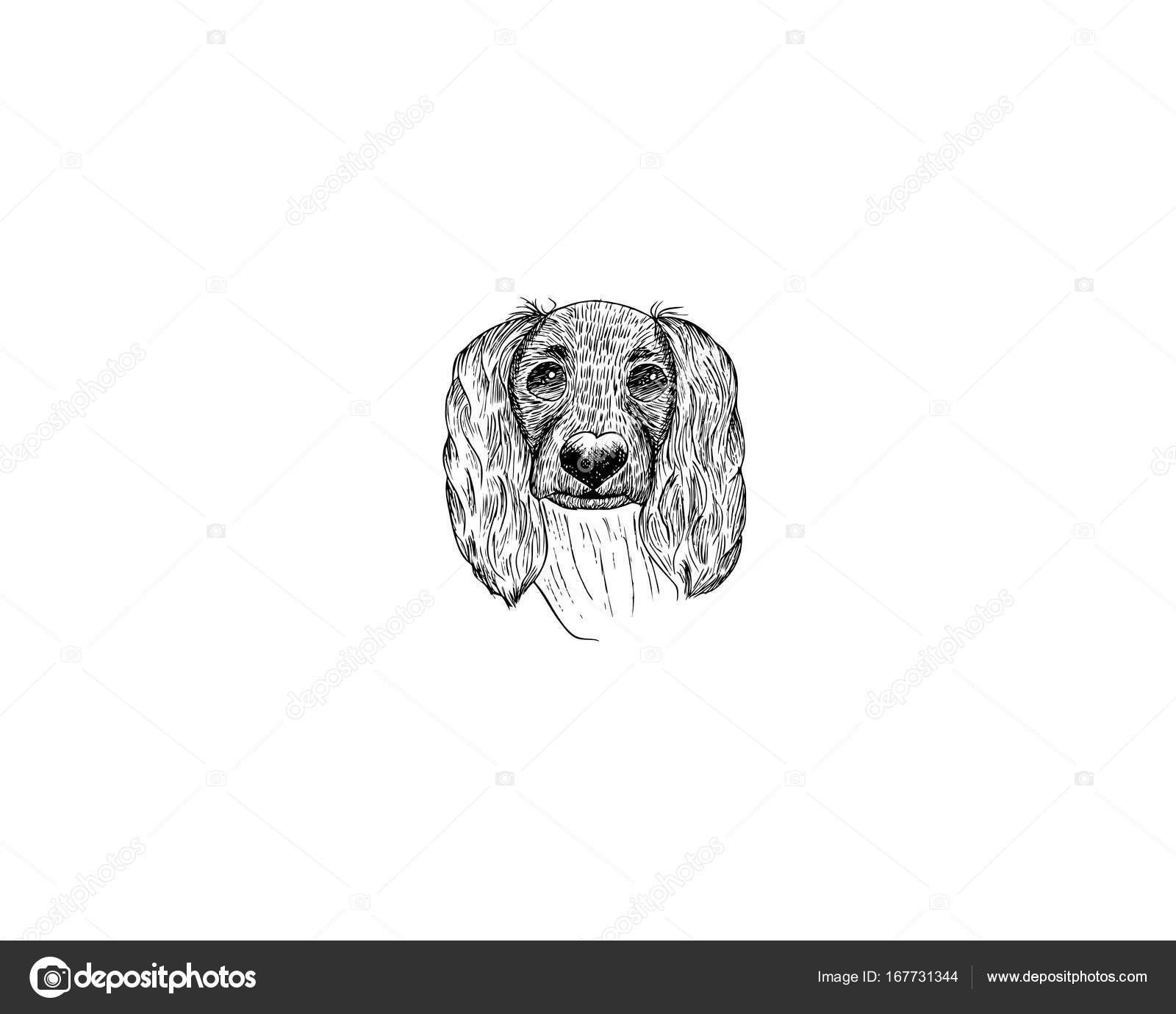 Dessin Dessin Crayon De Dessin Animé Chien épagneul Et