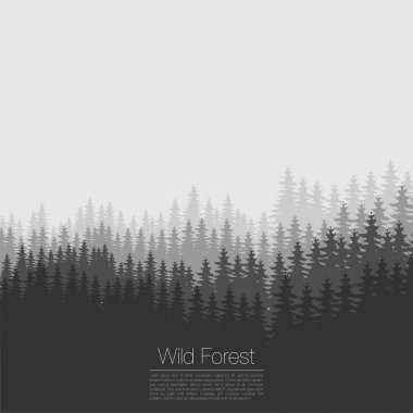 Vintage orman tasarım şablonu. Vektör. İğne yapraklı orman siluet şablonu. Ormanda illüstrasyon