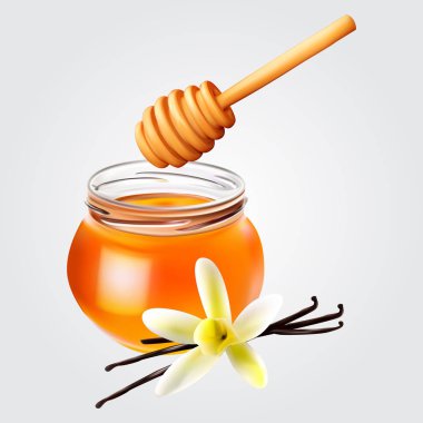 Gerçekçi tatlım kavanoz bal ayı ve vanilya ile. Vektör simgesi.