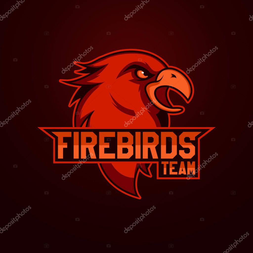 Modern professional logo for sport team. Firebird mascot. Firebirdss, vector symbol on a light background