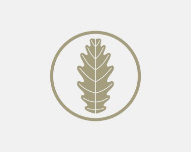 Meşe yaprağı logo tasarımı