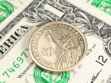 Bir dolar para ve kağıt mezhebi.