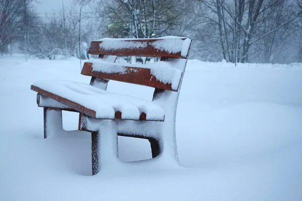 Snow-covered bench in a winter park after a snowfall