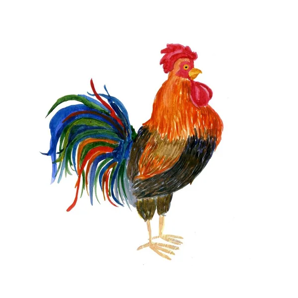 Coq ardent aquarelle à motifs sur le fond blanc. Symbole du Nouvel An chinois. Il peut être utilisé pour la conception d'un t-shirt, sac, carte postale, une affiche . — Photo